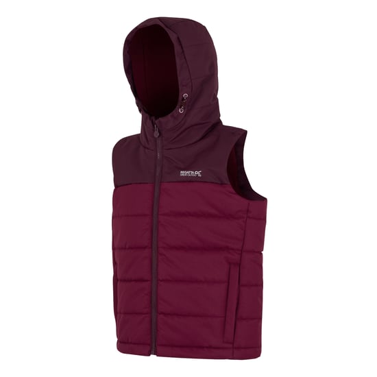 Regatta Lofthouse Bodywarmer voor kinderen/Kinderen (Vijg/Dark Pimento) - Image 3