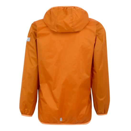 Regatta Groot Buitenshuis Kinderen/Kinderen Lever II Packaway Rain Jacket (Vos/Bloeiende goudsbloem) - Image 2