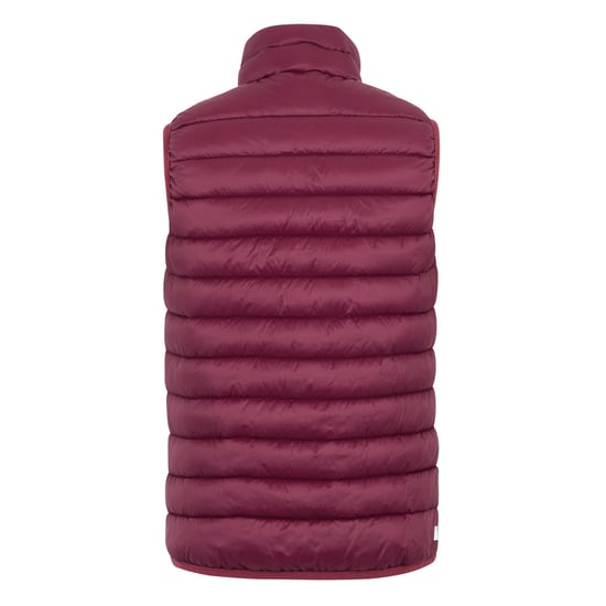 Regatta Dames/Dames Marizion Gilet (Donker Pimento) - Image 2