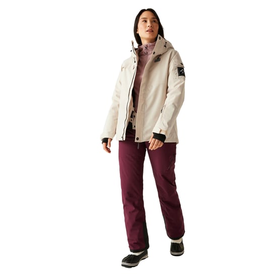 Dare 2B Dames/Dames Life Ski Jacket (Grijze ochtend) - Image 5