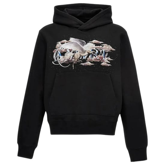 Amiri Pegasus Script Hoodie Zwart - Image 1