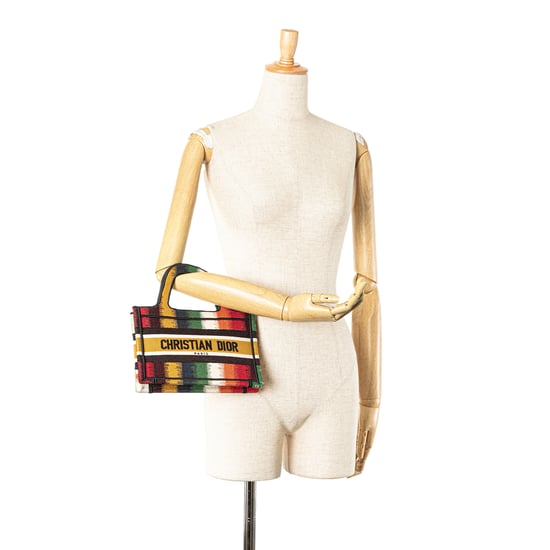 Dior Boek Tote Multikleur Gestreept - Image 1