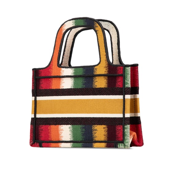 Dior Boek Tote Multikleur Gestreept - Image 3