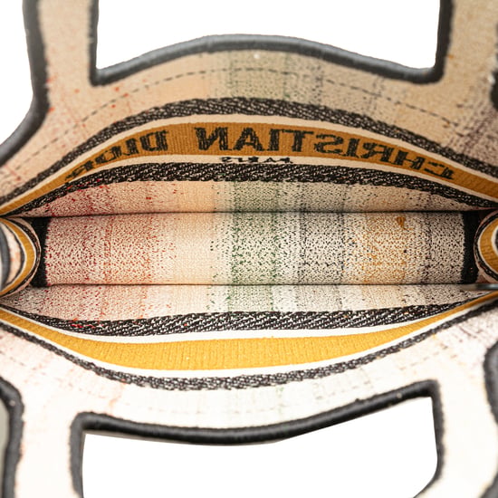Dior Boek Tote Multikleur Gestreept - Image 5