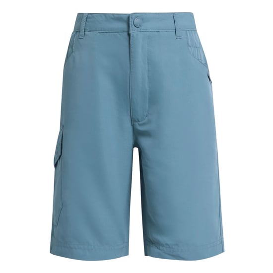 Regatta Kinderen/Kinderen Sorcer II Shorts (Koronet Blauw) - Image 1