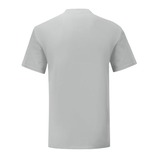 Fruit of the Loom Unisex volwassen iconisch T-shirt (Zink) - Image 2