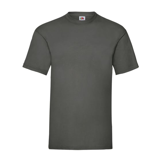 Fruit of the Loom Unisex Adult Waardevol T-Shirt (Licht Grafiet Solid) - Image 1