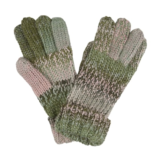 Regatta Dames/Dames Frosty VI Winterhandschoenen (Basilicum) - Image 1