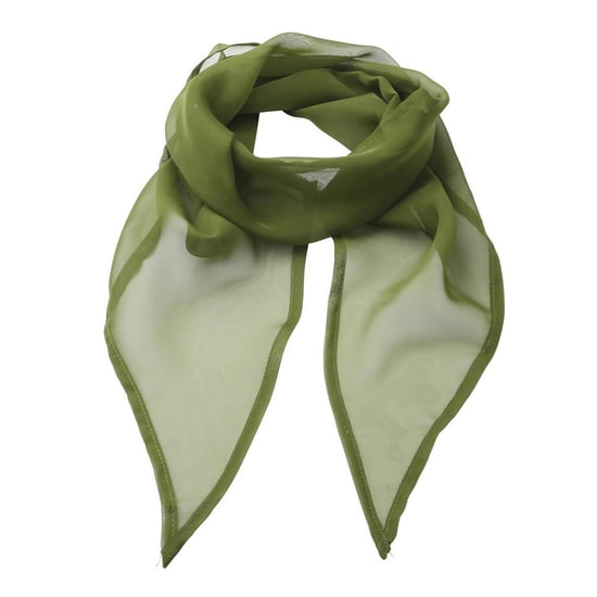 Premier Dames/Dames Chiffon Sjaal (Oase Groen) - Image 1