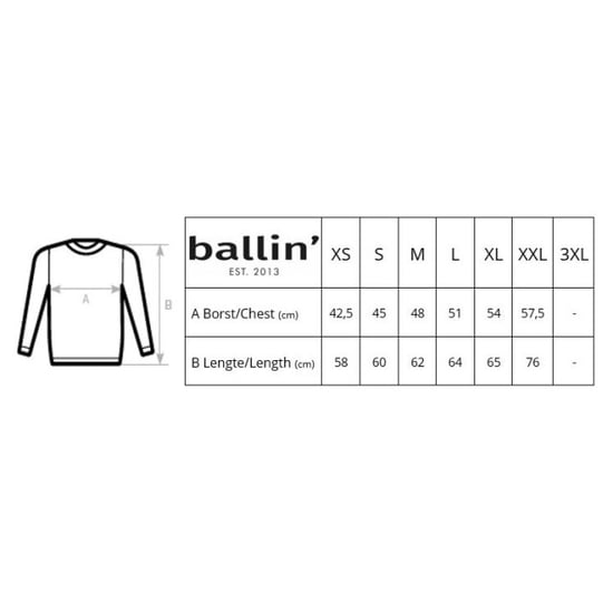 Ballin Est. 2013 Sweaters Tiger Sweater Zwart - Image 3