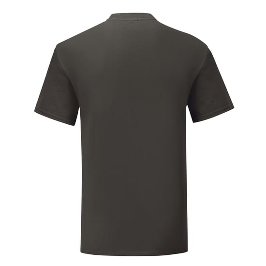 Fruit of the Loom Unisex volwassen iconisch T-shirt (Licht Grafiet) - Image 2