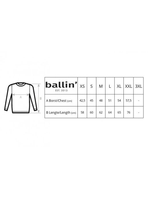 Ballin Est. 2013 Sweaters Tiger Sweater Wit - Image 3