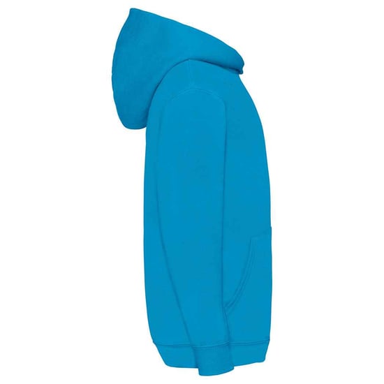 Fruit of the Loom Kinder/Kids Klassieke Hoodie (Azuurblauw) - Image 3