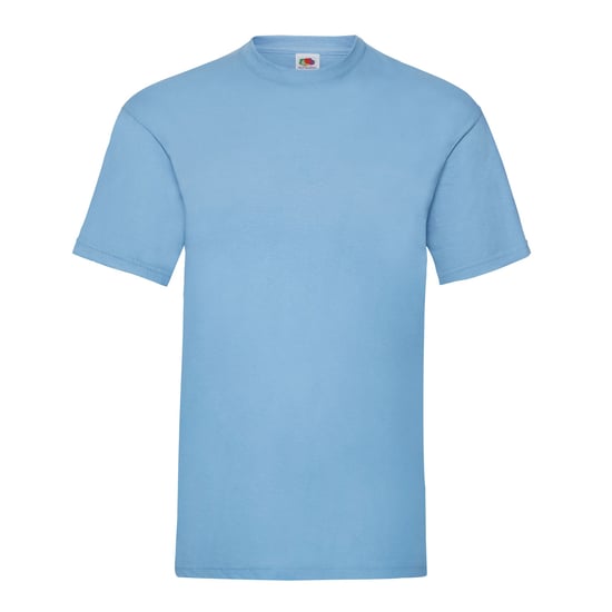Fruit of the Loom Unisex Adult Waardevol T-Shirt (Hemelsblauw) - Image 1