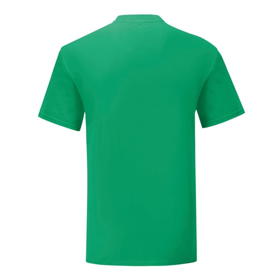 Fruit of the Loom Unisex volwassen iconisch T-shirt (Kelly Groen) - Image 2
