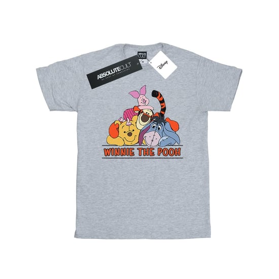Disney Heren Winnie De Poeh Groep T-Shirt (Sportgrijs) - Image 1