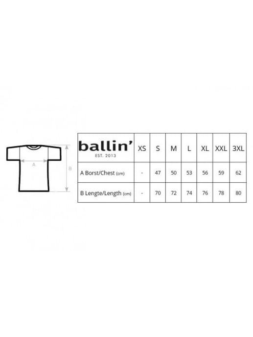 Ballin Est. 2013 Tee SS Camo Block Shirt Grijs - Image 2