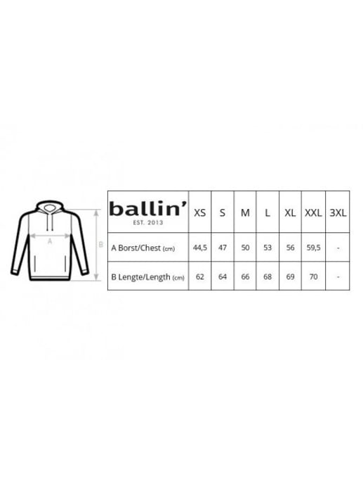 Ballin Est. 2013 Hoodies Wmn Hoodie Roze - Image 3