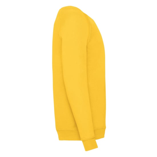 Fruit of the Loom Klassiek Raglan Sweatshirt voor kinderen/Kinderen (Zonnebloem) - Image 3
