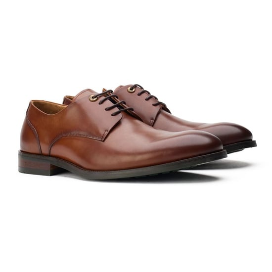 Simon Carter Stegosaurus Derby Schoenen - Image 2