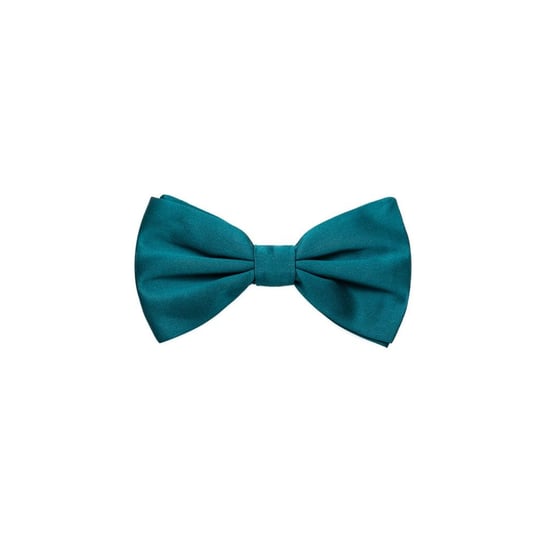 Teal Zijde Vlinderdas - Image 1