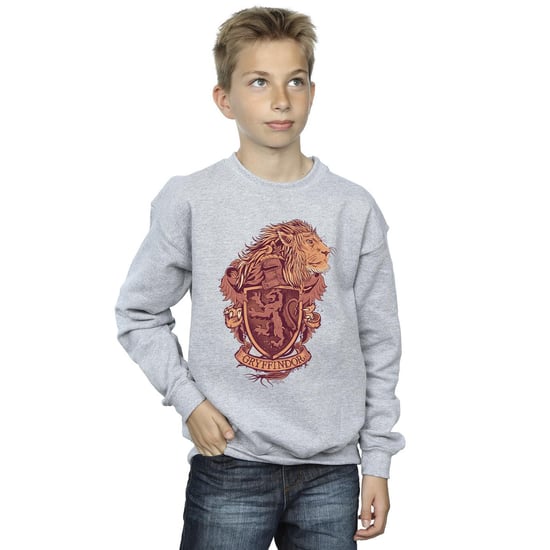 Harry Potter Jongens Gryffindor Schets Crest Sweatshirt (Sportgrijs) - Image 2