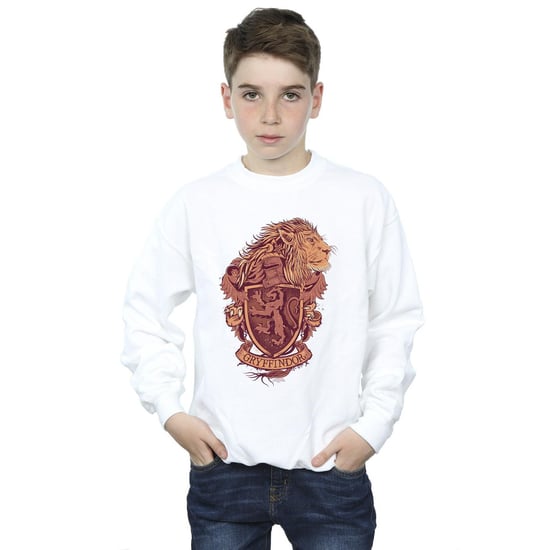 Harry Potter Jongens Gryffindor Schets Crest Sweatshirt (Wit) - Image 2