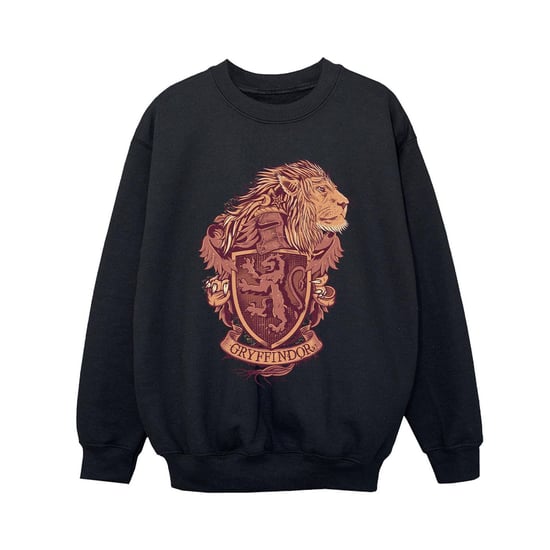 Harry Potter Jongens Gryffindor Schets Crest Sweatshirt (Zwart) - Image 1