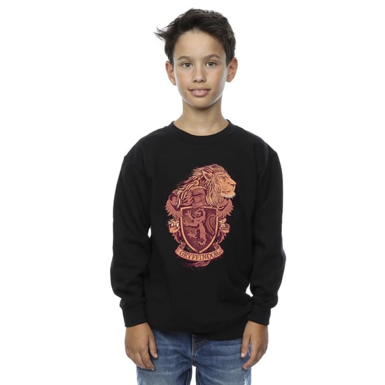 Harry Potter Jongens Gryffindor Schets Crest Sweatshirt (Zwart) - Image 2
