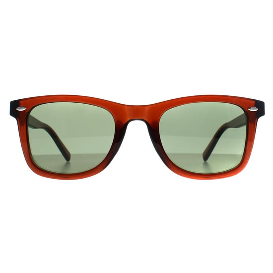 Calvin Klein Square Heren Transparant Bruin Groen CK22555S - Image 1