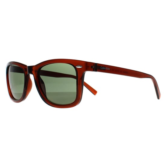 Calvin Klein Square Heren Transparant Bruin Groen CK22555S - Image 2
