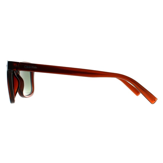 Calvin Klein Square Heren Transparant Bruin Groen CK22555S - Image 3