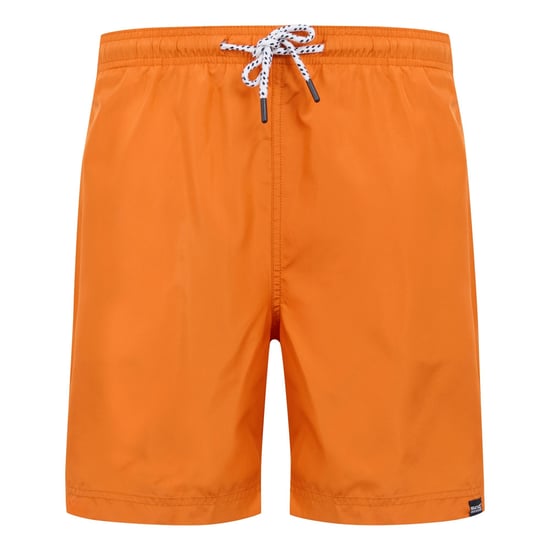 Regatta Heren Mackleyna Zwemshorts (Fox) - Image 1