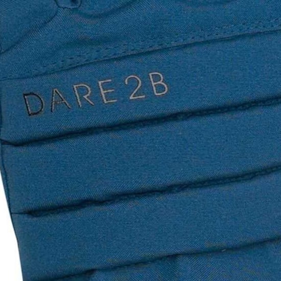 Dare 2B Dames Charisma III Logo Ski Handschoenen (Moonlight Denim) - Image 4