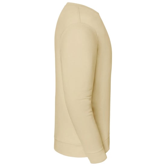 Fruit of the Loom Heren Iconische Premium Set-in Sweatshirt (Woestijnzand) - Image 3