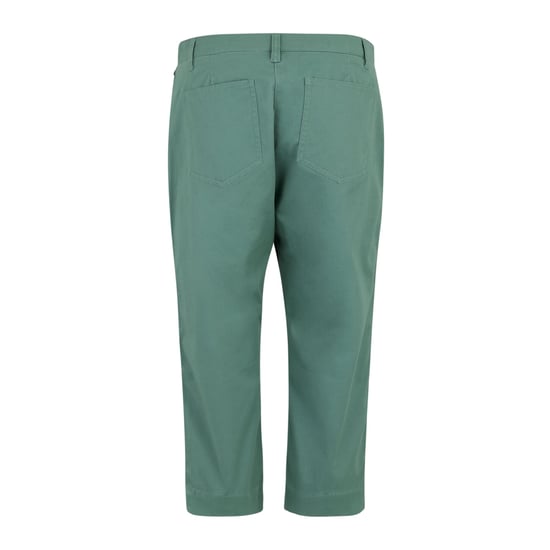 Regatta Dames/Dames Bayletta Capri Broek (Ivy Mos) - Image 2