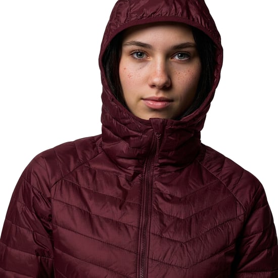 Vrouwen Hybride Gewatteerde Jas met Capuchon Powder Pass™ II 2126122 - Image 6