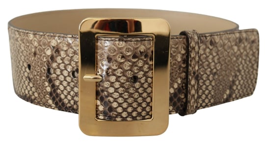 Dolce & Gabbana Bruine Exotische Brede Leren Gouden Metalen Gesp Riem - Image 3
