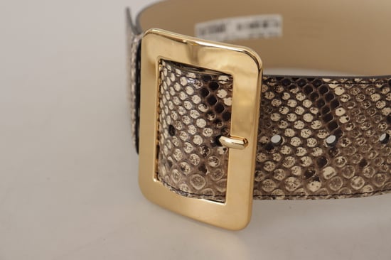Dolce & Gabbana Bruine Exotische Brede Leren Gouden Metalen Gesp Riem - Image 4