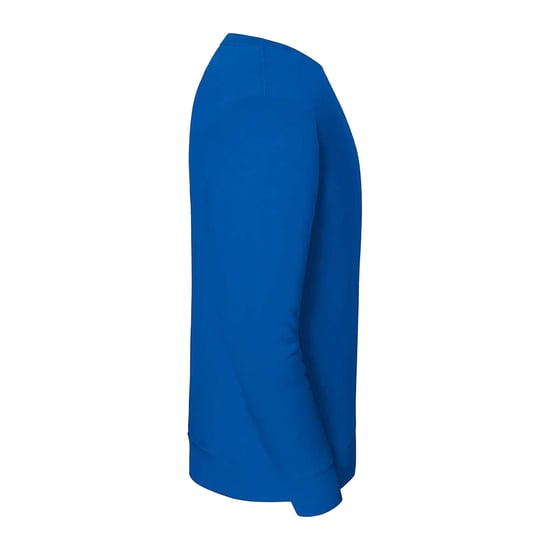Fruit of the Loom Heren Iconic Premium Ingelegd Sweatshirt (Royaal Blauw) - Image 3