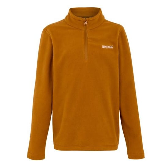 Regatta - Geweldige Outdoors Kinder Hot Shot II Half Zip Fleece Hoodie (Pompoen Kruiden) - Image 1