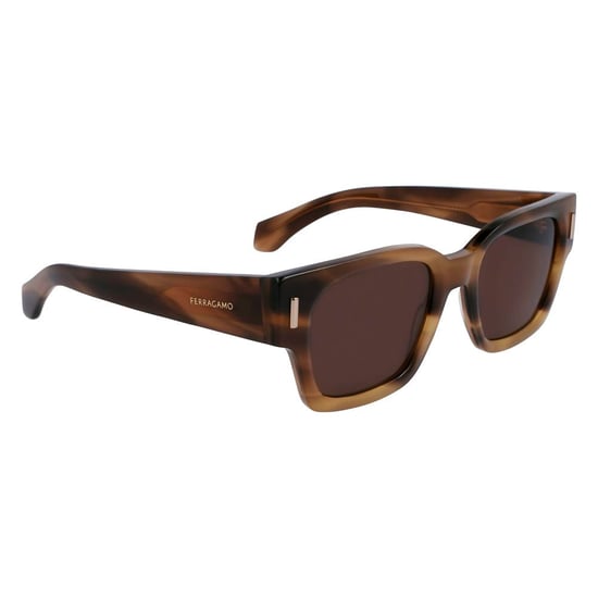 Ferragamo Bruine Acetaat Zonnebril - Image 3