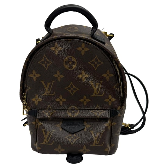 Louis Vuitton Monogram Palm Springs Mini Rugzak in Bruin Canvas - Image 1