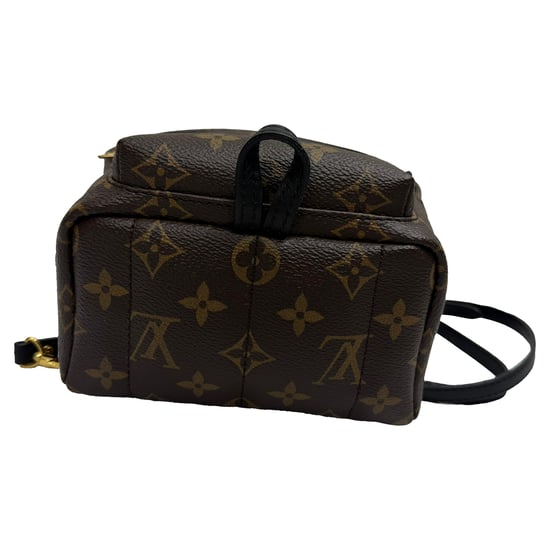 Louis Vuitton Monogram Palm Springs Mini Rugzak in Bruin Canvas - Image 3