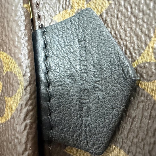 Louis Vuitton Monogram Palm Springs Mini Rugzak in Bruin Canvas - Image 4