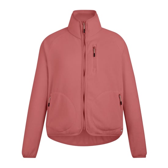 Regatta Dames/Dames Frankie Full Zip Fleecejack (Leisteen) - Image 1