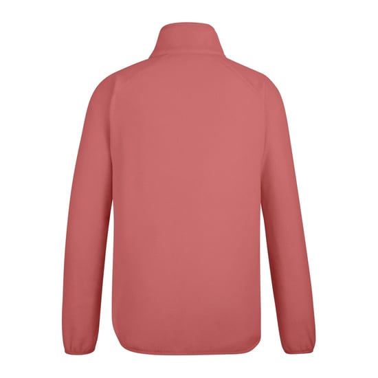 Regatta Dames/Dames Frankie Full Zip Fleecejack (Leisteen) - Image 2