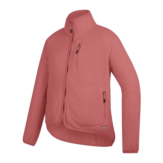 Regatta Dames/Dames Frankie Full Zip Fleecejack (Leisteen) - Image 3