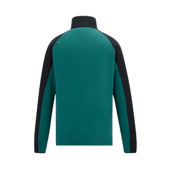 Regatta Heren Elson II Lichtgewicht Fleece (Groen mediterraan/zwart) - Image 2