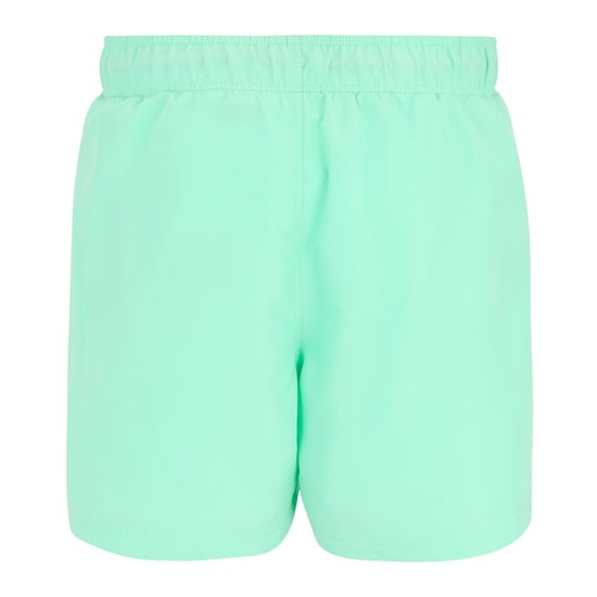 Regatta Heren Mawson II Zwemshort (Ijsgroen/Sonisch Blauw) - Image 2
